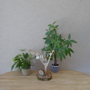 Porte bijoux "Saule e mio"