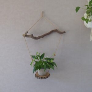 Balançoire à plantes